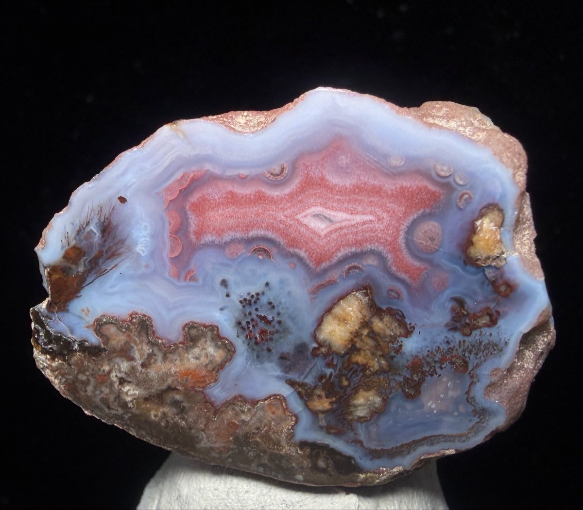 withagate tweet picture