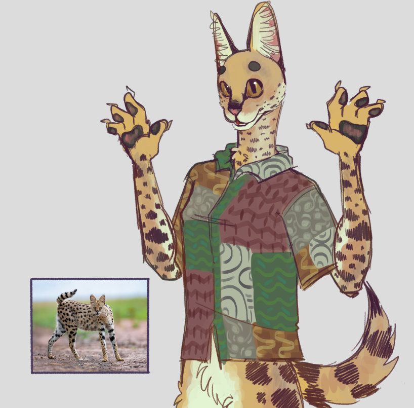 herostarchar's tweet photo. making every cat! 🐈
pt2. serval! 
she has the biggest ears of all cats 😺 https://t.co/6A8Zlvpdl8