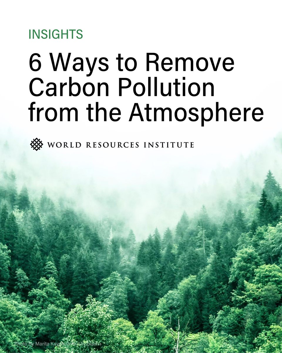 WorldResources's tweet photo. 1/7 How important is carbon removal in the fight against climate change?🌲💨

🌡️The latest climate model scenarios show that in addition to substantial and rapid emissions reductions, large-scale carbon removal will be needed to keep temperature rise to 1.5 degrees C. 

📈The amount of carbon removal ultimately needed will depend on how quickly we reduce emissions in the near term as well as the magnitude and duration of any increase above 1.5 degrees C, known as overshoot. 

🌳Estimates, including both natural and technological carbon removal approaches, range from 7 billion to 9 billion metric tons per year globally by 2050. For context, the United States emitted just over 6 billion metric tons of greenhouse gases in 2023. 

🪫The faster the world reduces its emissions in the near term, the less it will have to rely on carbon removal. Conversely, as global emissions continue to rise, more carbon removal would be needed to meet global climate goals.

🧠Learn more about carbon removal➡️ https://t.co/HnmusRZjzl