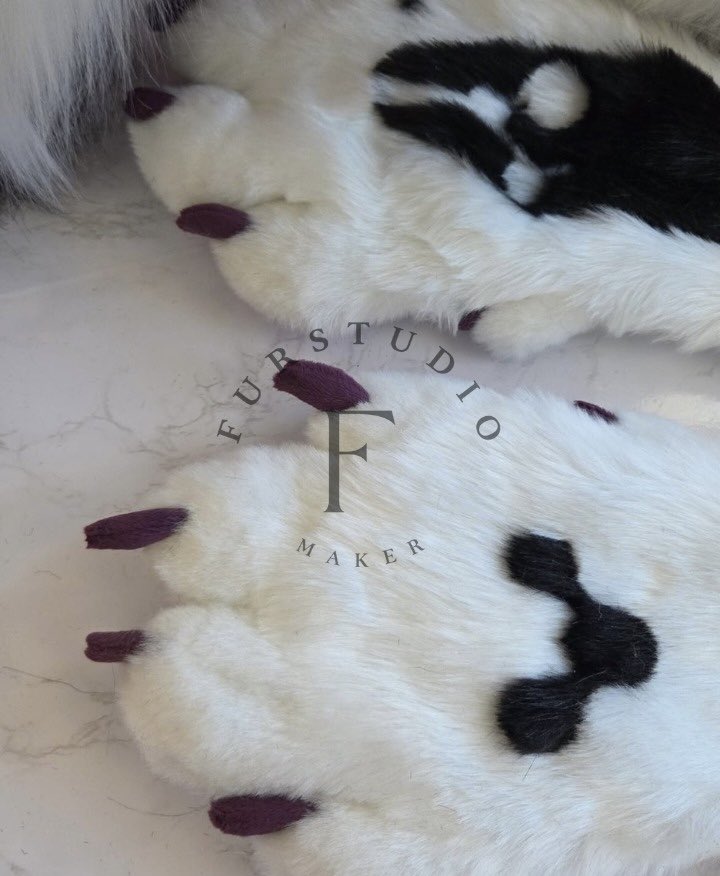 Furstudioo6's tweet photo. Paws,tail,
#fursuit #fursona #furry #Furryfandom https://t.co/ohkm79Dftu