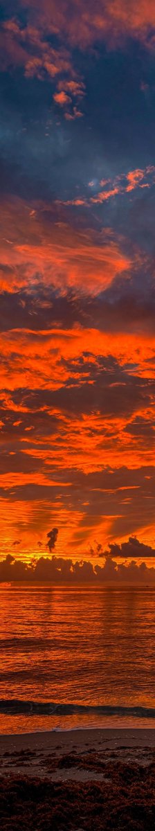 purelivn's tweet photo. sunset lover https://t.co/VvWlvpHjmk