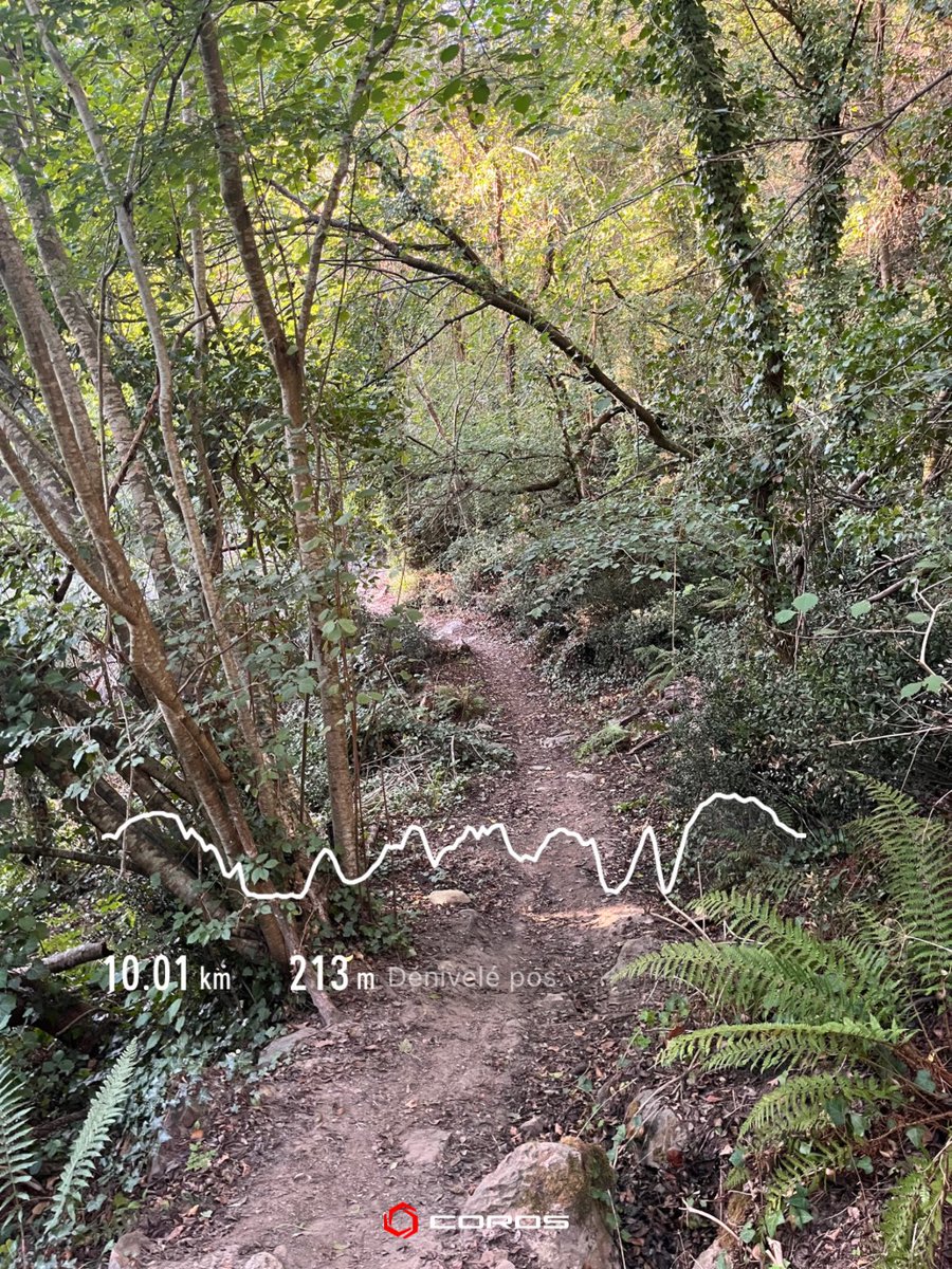 DaddyKLO's tweet photo. Sortie trail en soirée #WhyWeRun https://t.co/vnFu6ZItzA