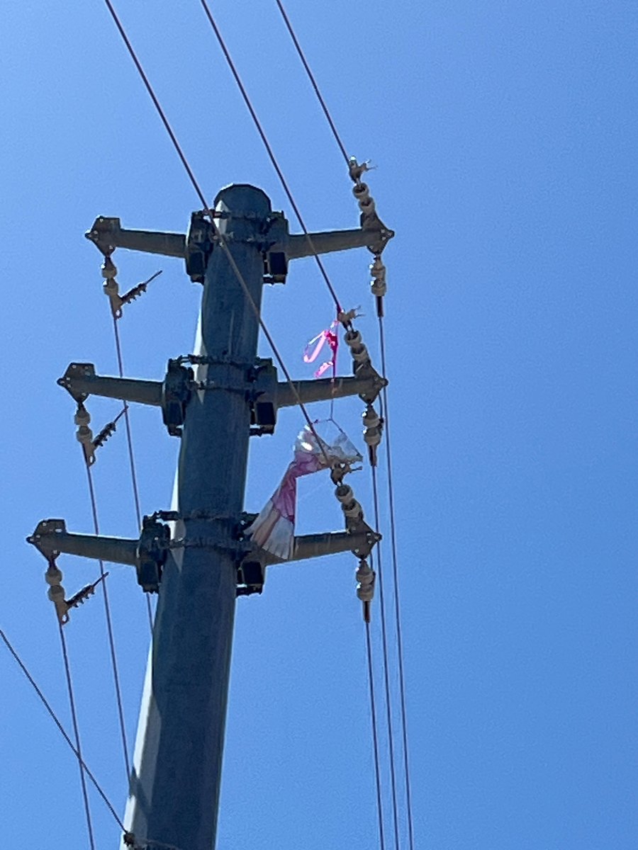 kite caught in power lines