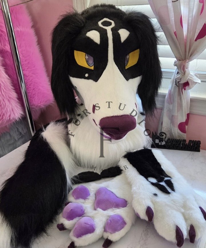 Furstudioo6's tweet photo. ✦ Built from a modified TPU greyhound/sighthound base
✦ Removable eyes with 3D-printed and sublimated mesh options
✦ Pickable nose
✦ Velcro eyelids
✦ Weighted floppy ears
✦ Fully lined interior with adjustable straps
✦ Saluki-style tail
#fursuit #fursona #furryfandom #furryartㅤㅤㅤ