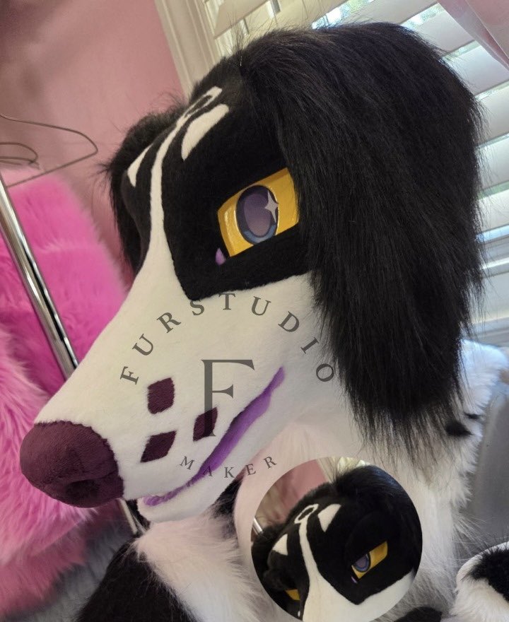 Furstudioo6's tweet photo. ✦ Built from a modified TPU greyhound/sighthound base
✦ Removable eyes with 3D-printed and sublimated mesh options
✦ Pickable nose
✦ Velcro eyelids
✦ Weighted floppy ears
✦ Fully lined interior with adjustable straps
✦ Saluki-style tail
#fursuit #fursona #furryfandom #furryartㅤㅤㅤ