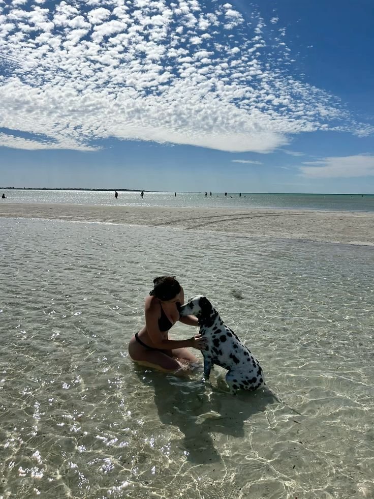 _Elisanndra's tweet photo. My furry sidekick is always ready to explore, play, and make another memory 🐕❤️ Come along with us👇🏻
https://t.co/zYD0L9crnf https://t.co/P1Jf3Sr7O2