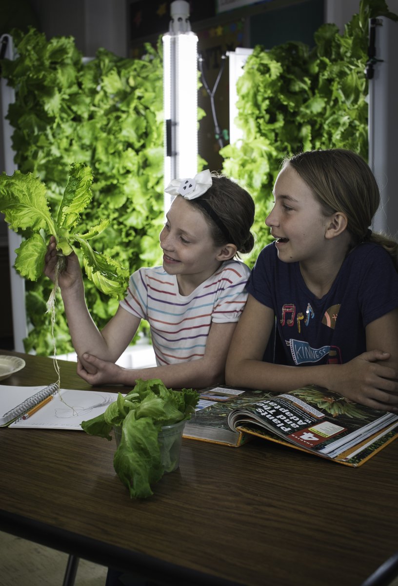operationbless's tweet photo. We’re grateful to the Bobby Allison Fund for a Stronger Pathways Grant empowering youth in Springfield, MO! 
Through vocational training, mentorship, and entrepreneurship, young people are gaining skills, creating opportunities, and helping grow healthier communities. 🌱🌟 https://t.co/3VCB1ZAxPQ
