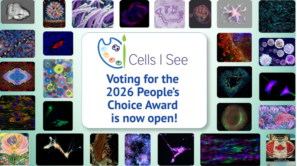 CCRM_ca's tweet photo. The 2026 #CellsISee People’s Choice Award voting is now open! "Like" your favourite and the lucky winner will receive $500 at #TMM2026. The #sciart #contest is co-hosted with @StemCellNetwork Vote here: https://t.co/HaWmUnm6Ed Pls RT https://t.co/X7SB1cFtpS