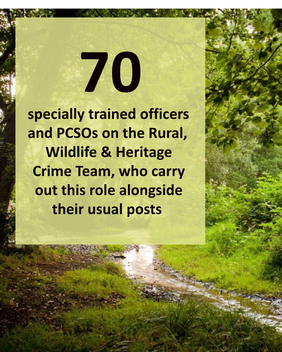 StaffsPFCC's tweet photo. This week is #RuralCrimeActionWeek.

Staffordshire is a largely rural county, and the harm rural crime causes to individuals and businesses can be significant – which is why it’s a priority in Commissioner @benadams4staffs Police &amp; Crime Plan.

@StaffsPolice  #RuralCrimeMatters https://t.co/VaYBtyZWcV