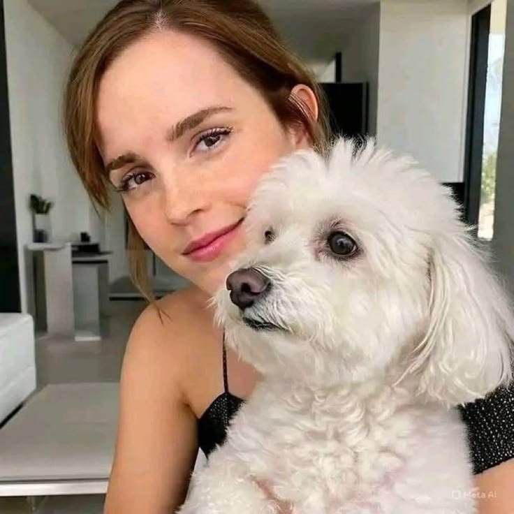 EmmaWatsonzz2i's tweet photo. Good afternoon honey how do I look today 💋💋💋💋😘😘😘🥰😚 https://t.co/aZ9raDfDOO