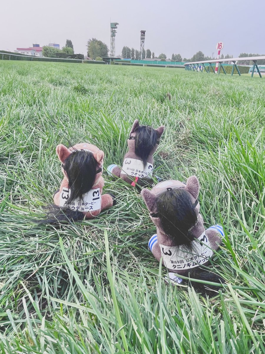 mayuge0710's tweet photo. 今年の札幌開催終わってしまってかなり寂しい🥲🥲今年も楽しかったし、肌焼けた！😂
最終日おばびさんに会う事も出来て嬉しかったな🫶🏻
来年の開催楽しみに1年頑張って生きるね👼🏻 https://t.co/e434x2BgO2