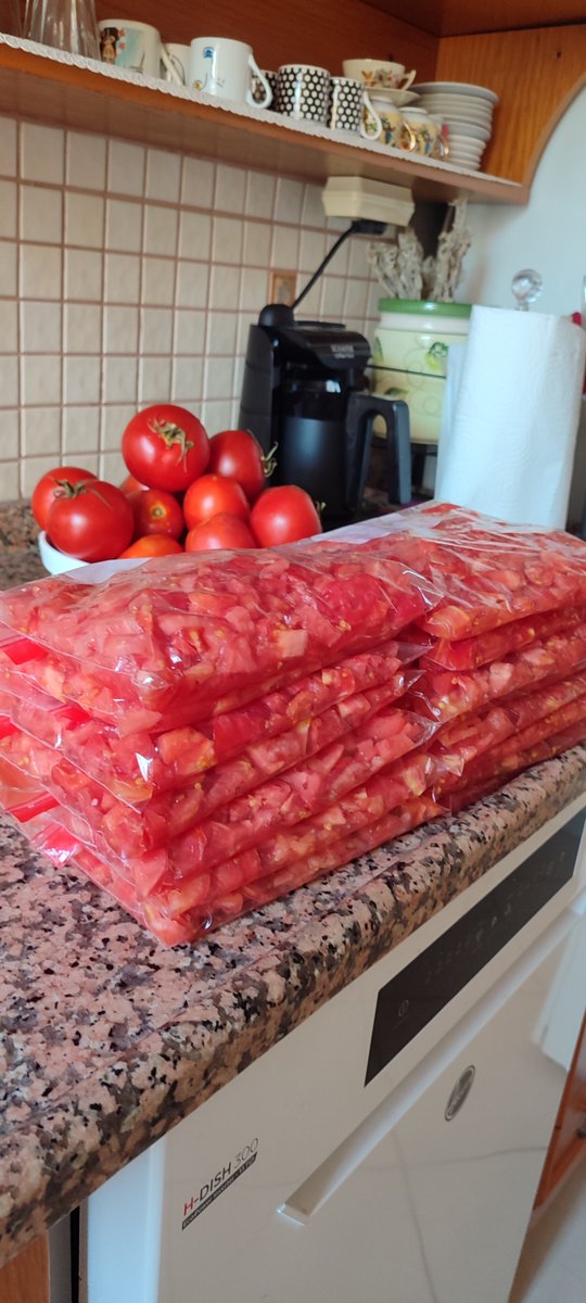 thedemosh's tweet photo. Ben kışlık hazırlamıyorum…
Domatesleri geleceğe yatırım olarak değerlendiriyorum. 😂🍅📈
🍅😂 KIŞA YATIRIM YAPTIM… BORSADA DEĞİL, BUZLUKTA!
#yatırımtavsiyesideğildir 😂 https://t.co/NzNcSd5bPw
