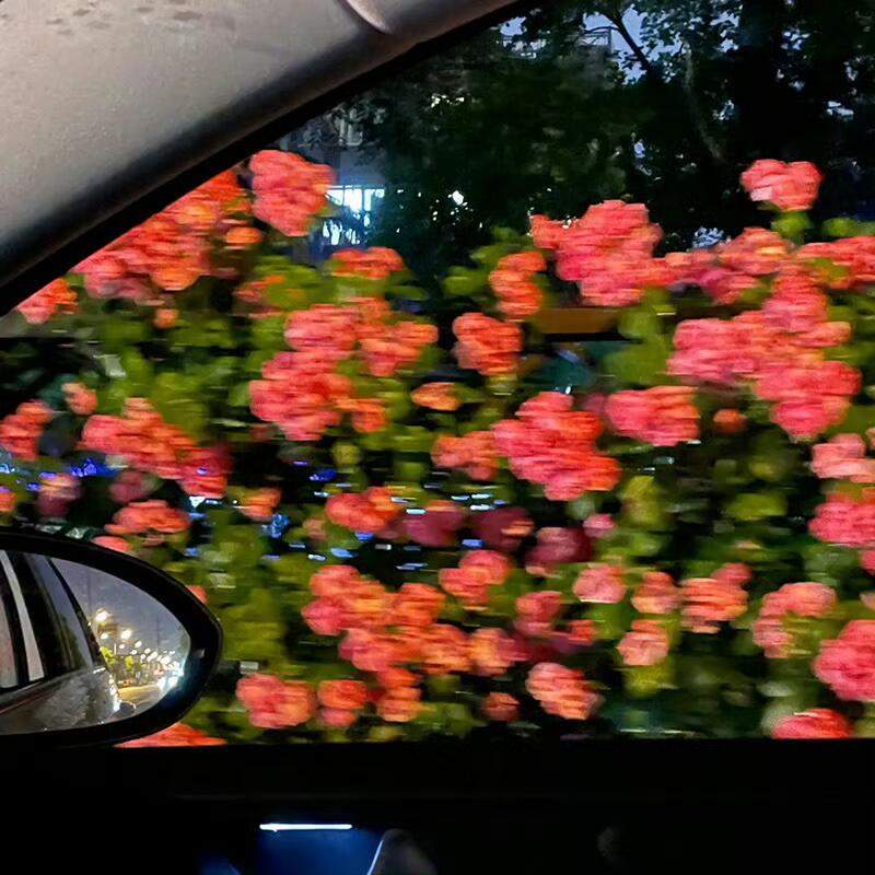 YuliAng96195306's tweet photo. Taking a moment for fresh flowers lately — my heart is so full. I'm soaking in every second — thanks to a new recipe these days. https://t.co/Ssrxx7Ojov