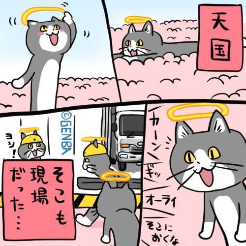 genbaneko_bot tweet picture
