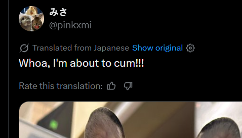 AdxmRex's tweet photo. @Foxki5 @pinkxmi not sure why korean/japanese translations by grok always become so sexual https://t.co/12bnfWUBUI