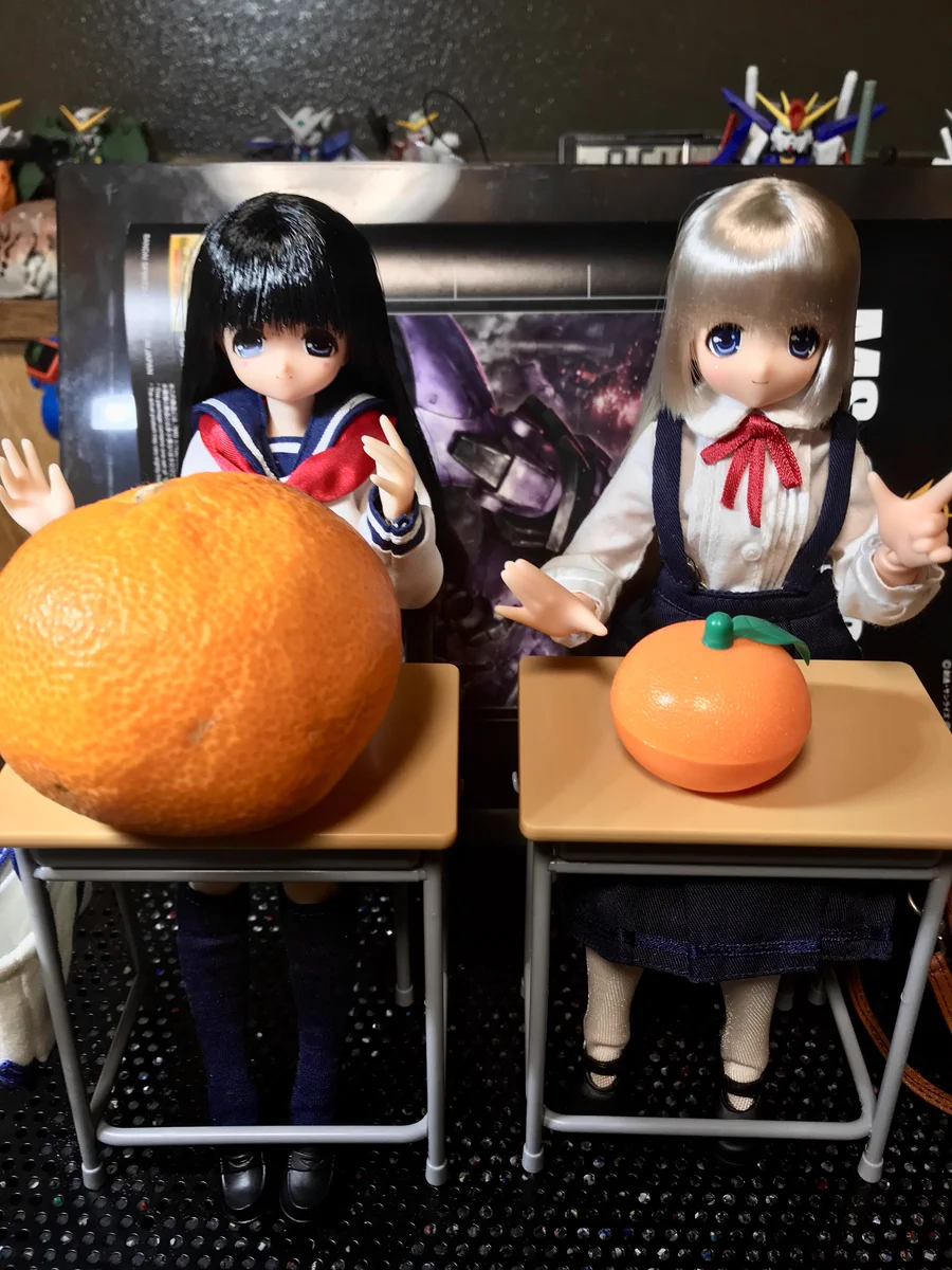 Dr.ころん٩( ᐛ )و on X: 