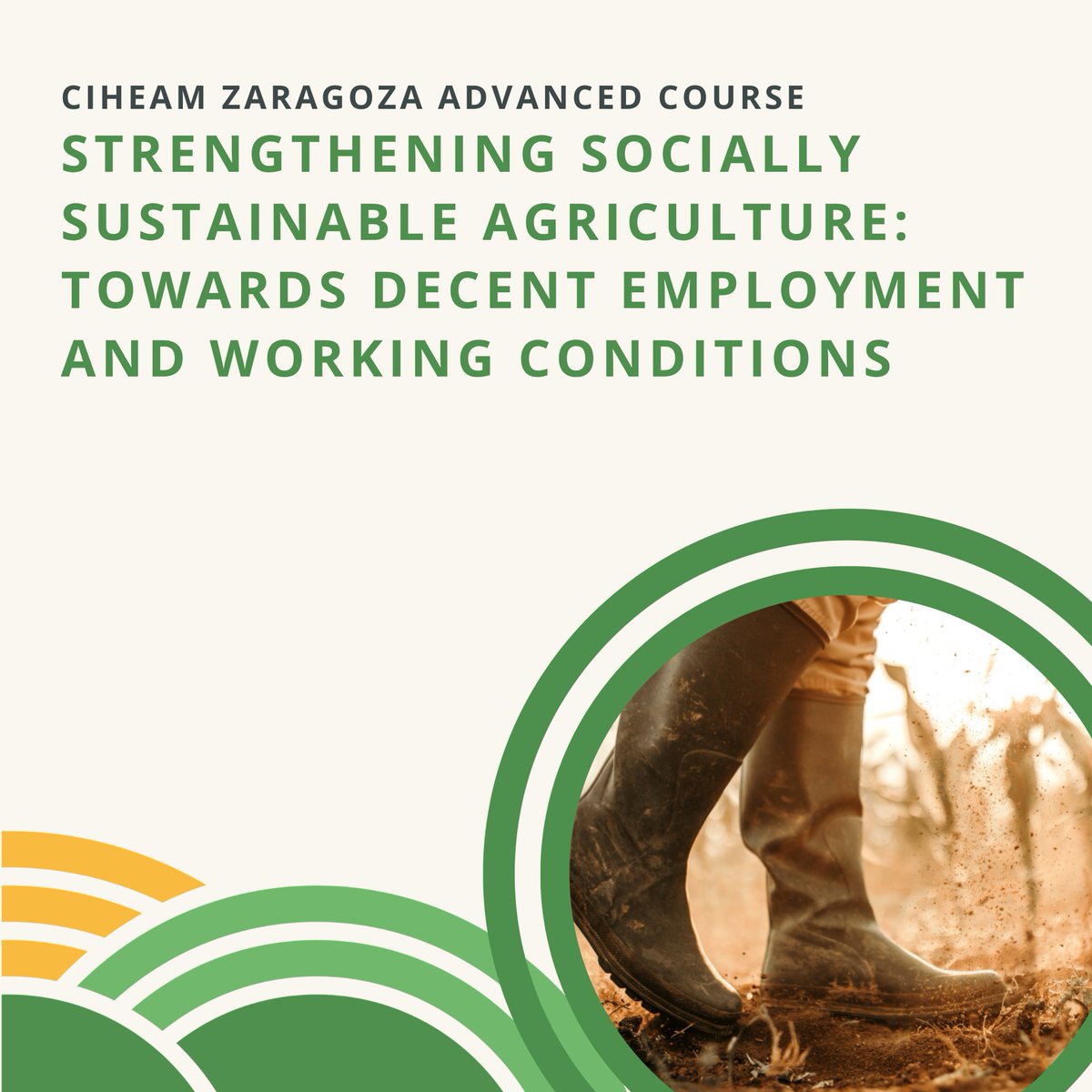 SafeHabitus_eu's tweet photo. How can we make #agriculture more socially sustainable?

Join @CIHEAM Zaragoza’s advanced course on decent work, labour rights, occupational safety and inclusive agri-food systems.

📅 9–13 Nov 2026 |  Zaragoza + online
👉 https://t.co/BXf8ezdVT5 https://t.co/FymvXsCcoi