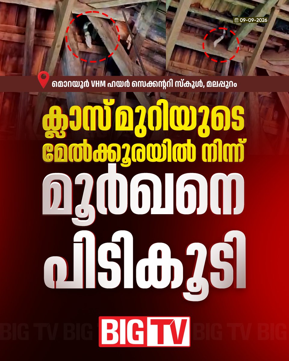 bigtv24x7live's tweet photo. കുട്ടികളെ മാറ്റിയതിന് ശേഷം പാമ്പിനെ റെസ്ക്യൂ ചെയ്തു
#malappuram #school #snake #found #bigtv #bigtvmalayalam #bigtv24x7 #bigtvlive https://t.co/ikIpWCbz70