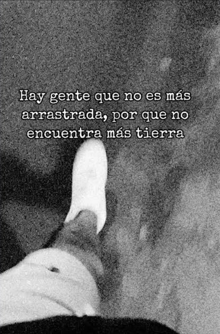 lvaroNovas1's tweet photo. @Melissa_Bely https://t.co/L38ioBtE2v