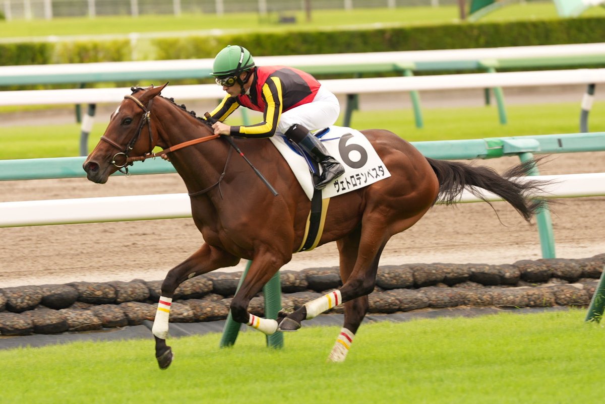 Raibu_fan's tweet photo. 9/5 ２歳新馬 1着
ヴェトロテンペスタ
コントレイル産駒 https://t.co/djaQdrQ6y2
