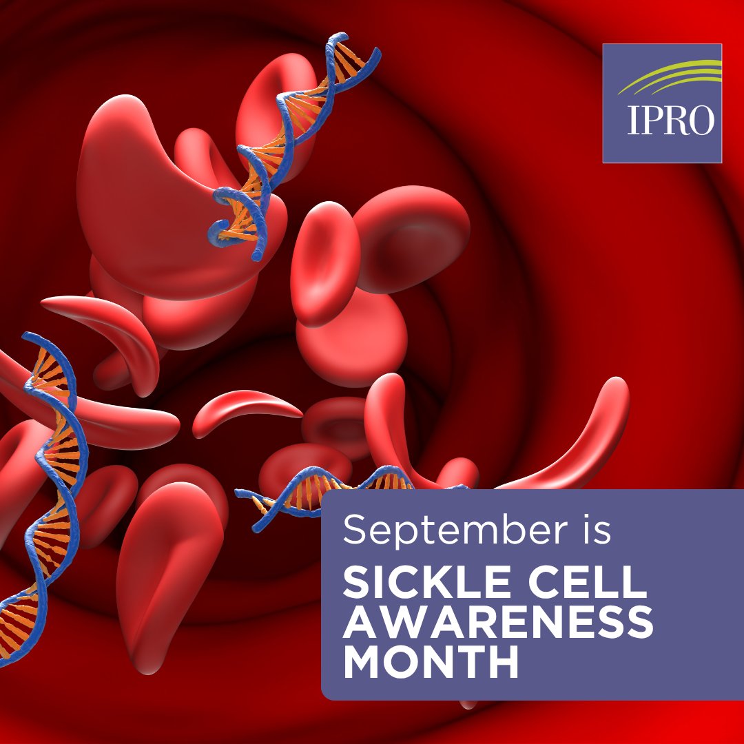 IPROorg's tweet photo. September is National Sickle Cell Awareness Month. 

Approximately 100,000 Americans live with sickle cell disease, a rare chronic condition that causes the red blood cells to harden and form a sickle shape. 

#SickleCellAwarenessMonth #SickleCellMatters #SickleCell https://t.co/JiqhJ6EnYo