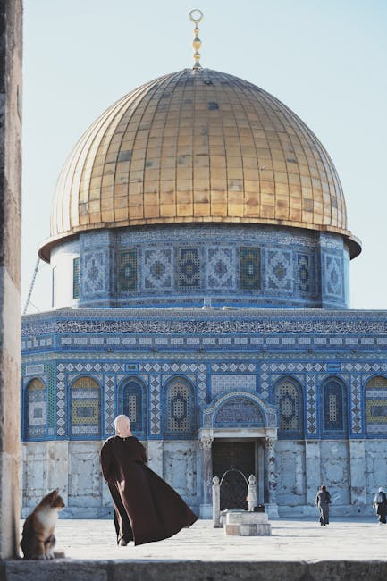 KeilaSembler's tweet photo. يجد عندما الحنين القلب السلام في يحمي الهدوء ضوء الصباح. rich willand https://t.co/yyfkSGHVLF