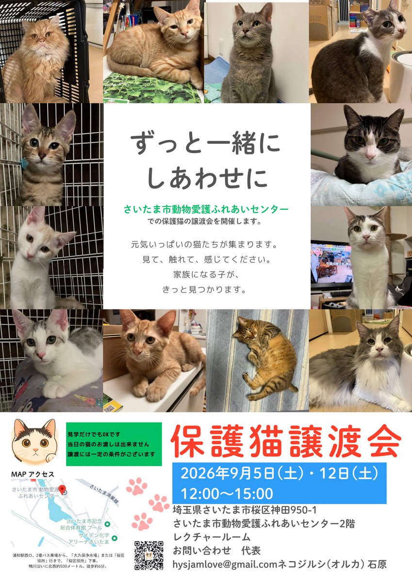 kpfslove's tweet photo. それはわたちの事です
すりすりゴロゴロ
ゴエママしゃんに
磨いてもらって
こんなに可愛くなりました❤️
今週も頑張って譲渡会参加します
ぜひ会いにき��にゃ😘
#9月5日12日土曜日
#譲渡会開催
#さいたま市桜区
#動物愛護ふれあいセンター
#猫さん情報→ネコジルシ(オルカ) https://t.co/0LozD9X7Vn