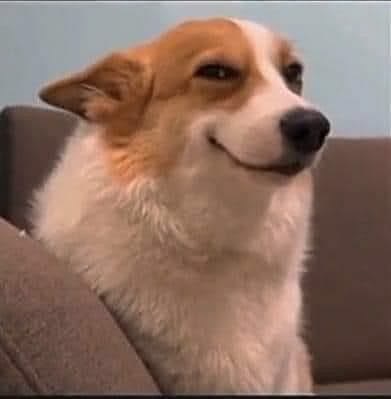 EllyWhitee's tweet photo. him: “I don’t like girls who are too independent”

me: immediately becoming the most independent woman he’s ever met https://t.co/pMRMVO0sOa