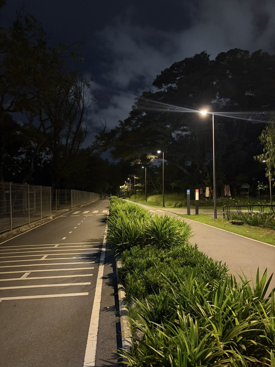 bongtao's tweet photo. ไปวิ่งที่สวนเบญจกิติ แล้วได้ยินฝรั่งทรงนักท่องเที่ยวพูดว่า Why does it smell so good here? 

ฝรั่งเค้าไม่รู้จักต้นเตยยยยย 555 แล้วเค้าปลูกเป็นดง วิ่งผ่านตรงนี้นึกว่าวิ่งผ่านร้านขายขนมถ้วย https://t.co/68Ea0YEyQ7