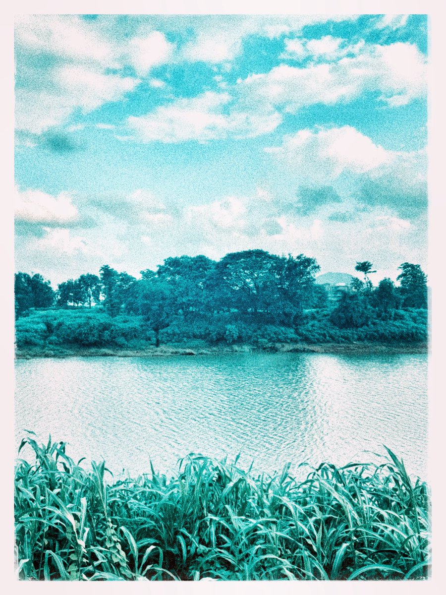 arpitabasu19's tweet photo. The grass, the river, the trees and the cloudy sky, all turned green. https://t.co/BO2ca1jhzK