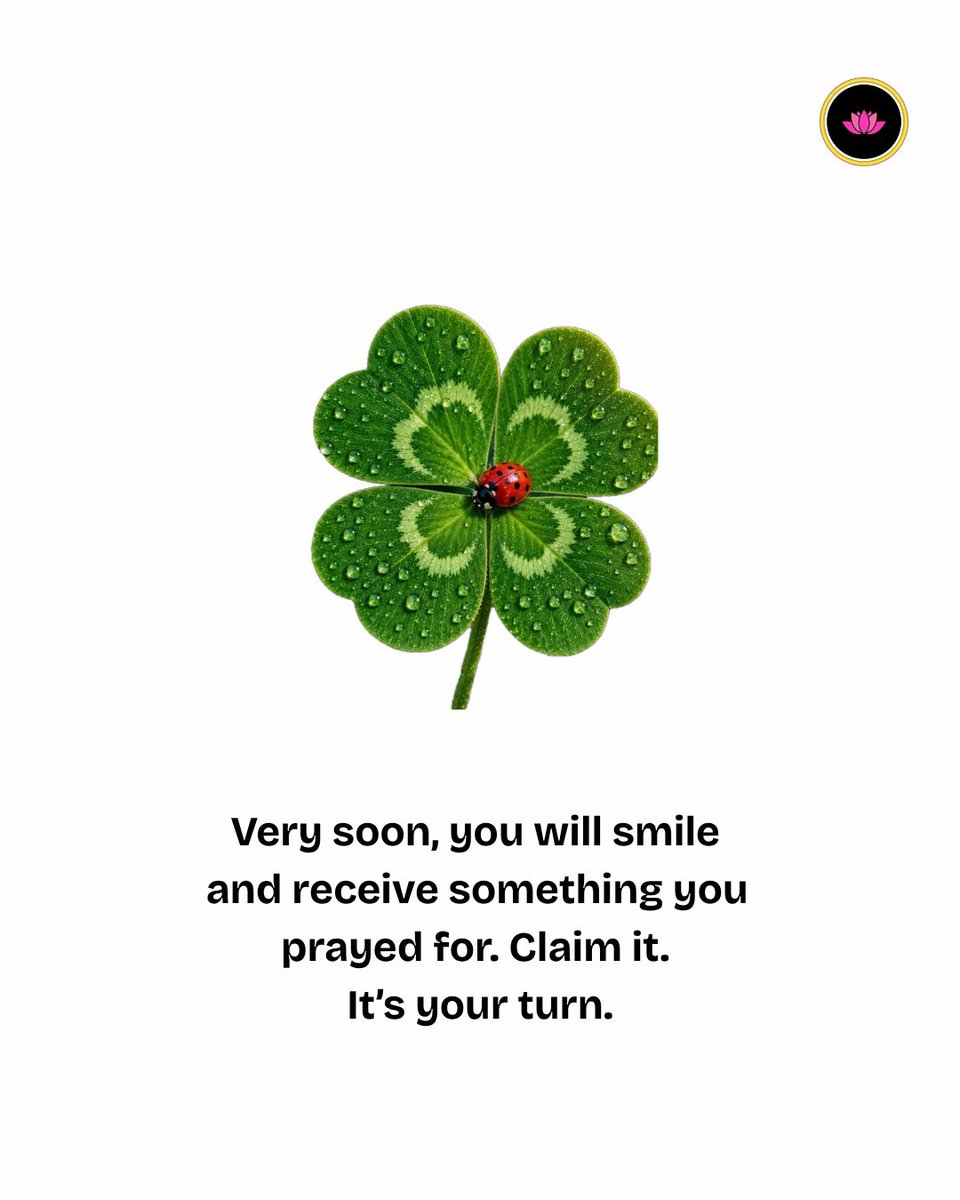 selfhealingpage's tweet photo. 🚨It's your turn. https://t.co/mzUzawahmY