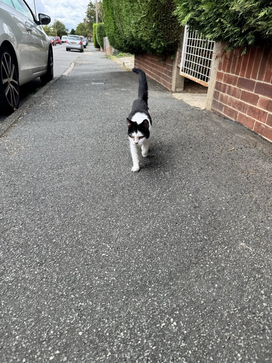 radar670's tweet photo. Here she comes https://t.co/hqDQgC4QiQ