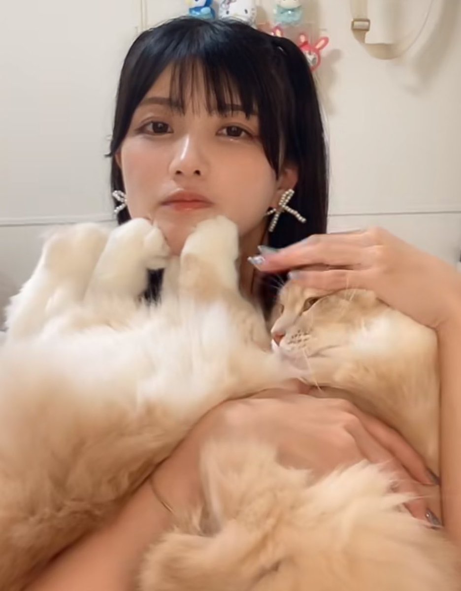 ma___ponta's tweet photo. 星香ちゃん配信ありがとう🐈

#KissBee #中山星香 https://t.co/pfVzSlvE9W
