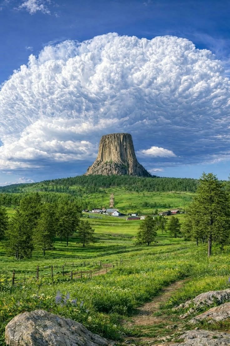 NaturalEye78321's tweet photo. 📍 Devils Tower, United States 🇺🇸 https://t.co/lFCOuFtUAo
