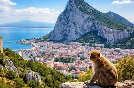 deleslletres's tweet photo. En referèndum de 10 de setembre de 1967 els ciutadans de Gibraltar van manifestar de manera inequívoca la seva voluntat de mantenir els vincles amb Gran Bretanya i no acceptar cap mena de sobirania espanyola.
Del 10 de setembre en van fer Diada!
L'enhorabona i per molta anys! https://t.co/BTeEjyYjWE