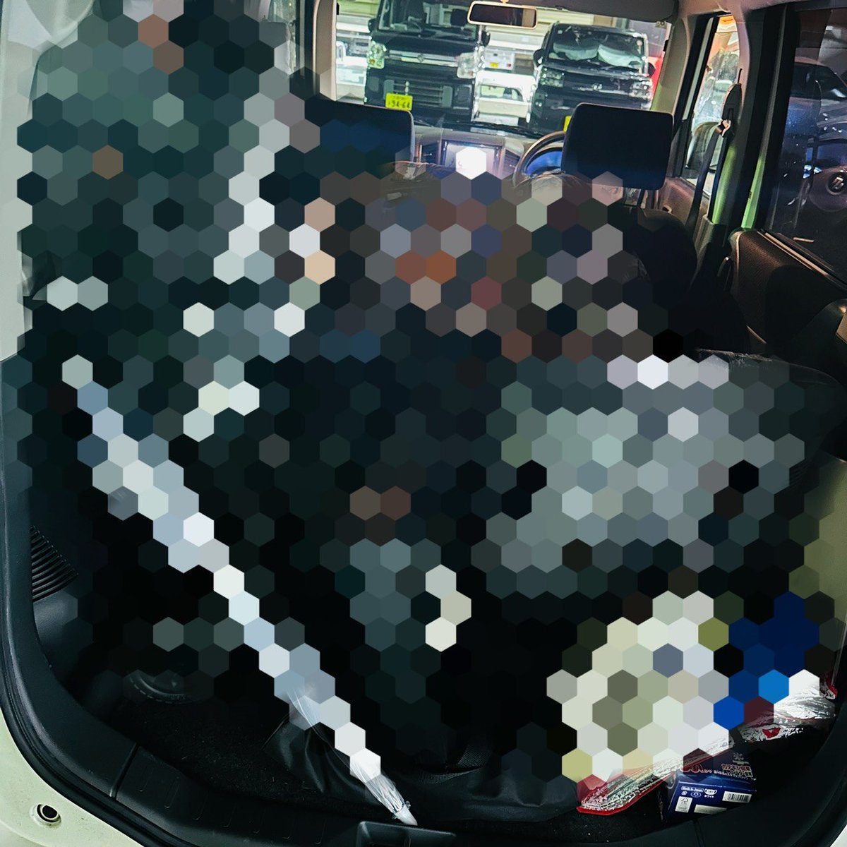 momo110312's tweet photo. 発信とかしない人なのでこうやって書くの苦手なんですけど、ほんまにタクちゃんに同行頼んで良かった🤣

1回目の同行で滋賀で思ったより取れなかったからって2回目自腹切って大阪で同行してくれた😭
手厚すぎて滅🥹

見込みも13.5万でしかも低資金✨
ほんま出会いに感謝です👍
@T__________KKK https://t.co/LcSTNQHLuP