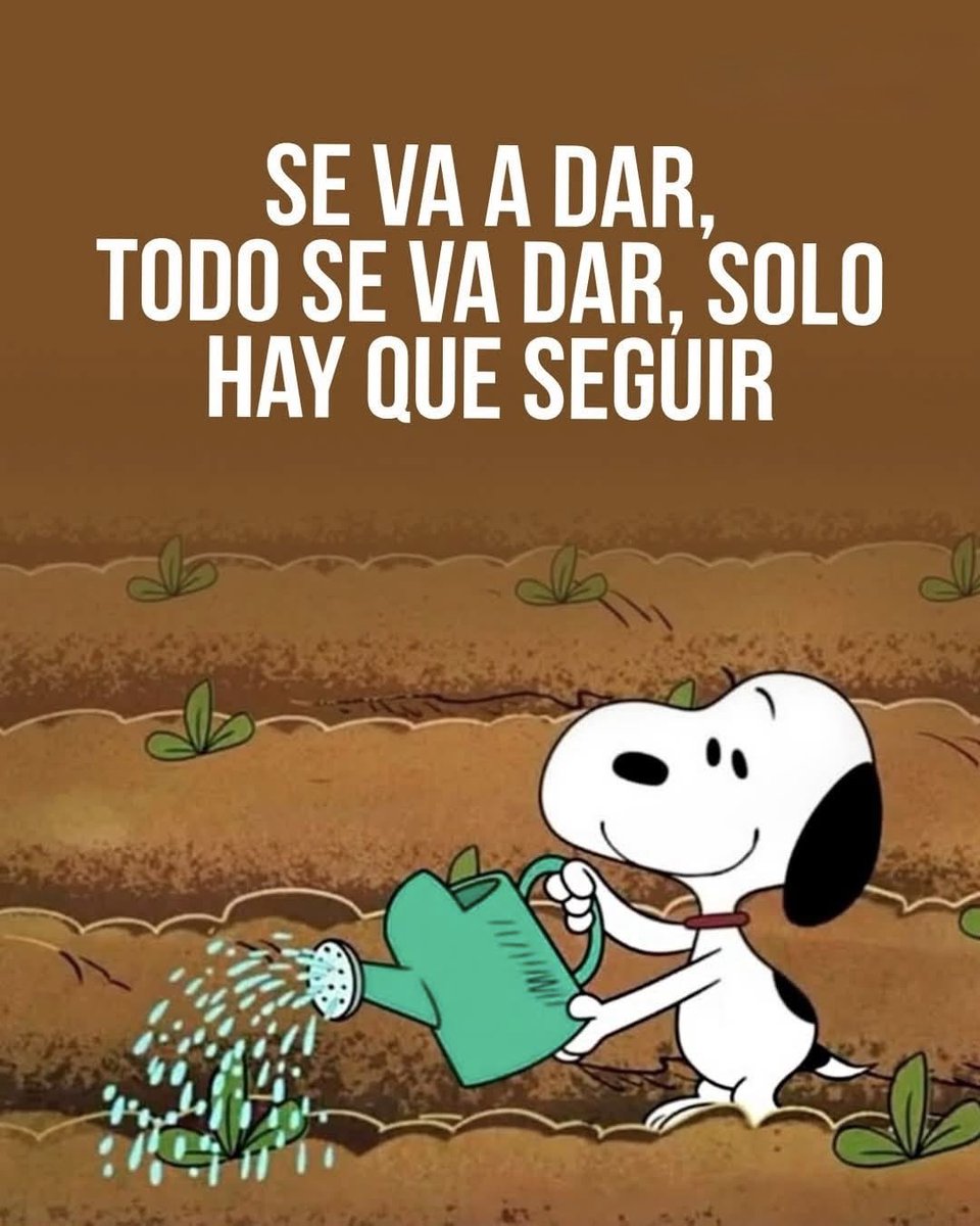 dilocondibujos_'s tweet photo. No bajes los brazos https://t.co/mDopvMCczN