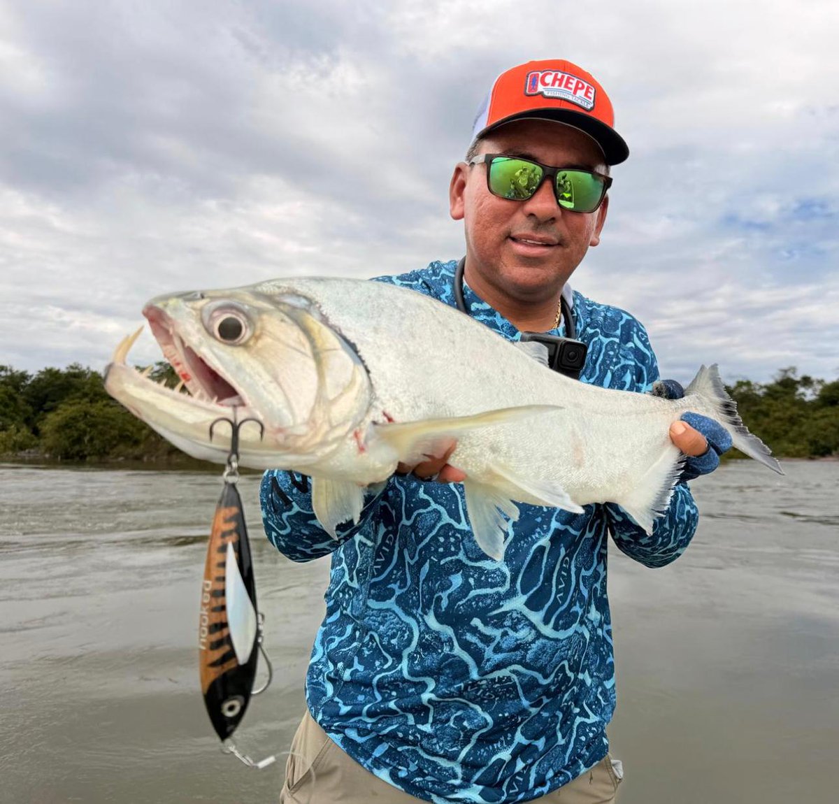 hookedlurestudi's tweet photo. Payara con Hooked Venom.
Cuando el pez trae dientes de vampiro, el señuelo tiene que responder. https://t.co/sW61rq1o2L