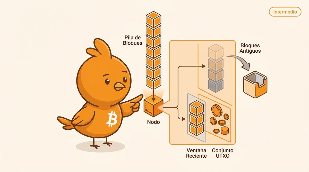 pajaritobtc's tweet photo. (1/5) ¿Puede un nodo validar Bitcoin sin guardar para siempre todos los bloques? Sí, mediante el modo pruning o poda. https://t.co/d0kVDhypmA