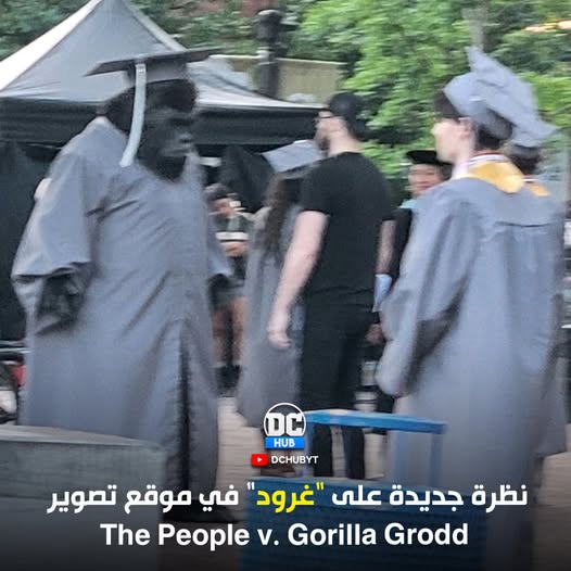 DCHubyt's tweet photo. أ*ا
شكل بتاع الأحتفالات عندنا في مصر
#DCHub #اخبار_DC #DCU #عالم_DC https://t.co/f2rAonaskO