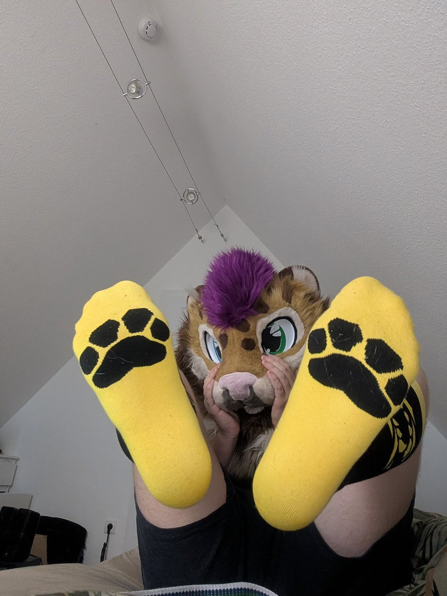 KaydenTheSnep's tweet photo. Got some new socks~ https://t.co/cpKbOItRep