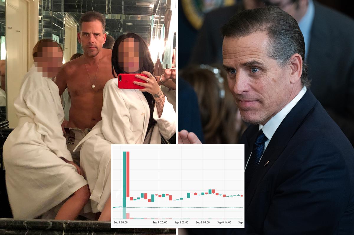 nypost's tweet photo. Hunter Biden's $LAPTOP meme coin rockets from $3 to $300 - then crashes within minutes https://t.co/fC6CJcX3RP https://t.co/sqV9zsL13p