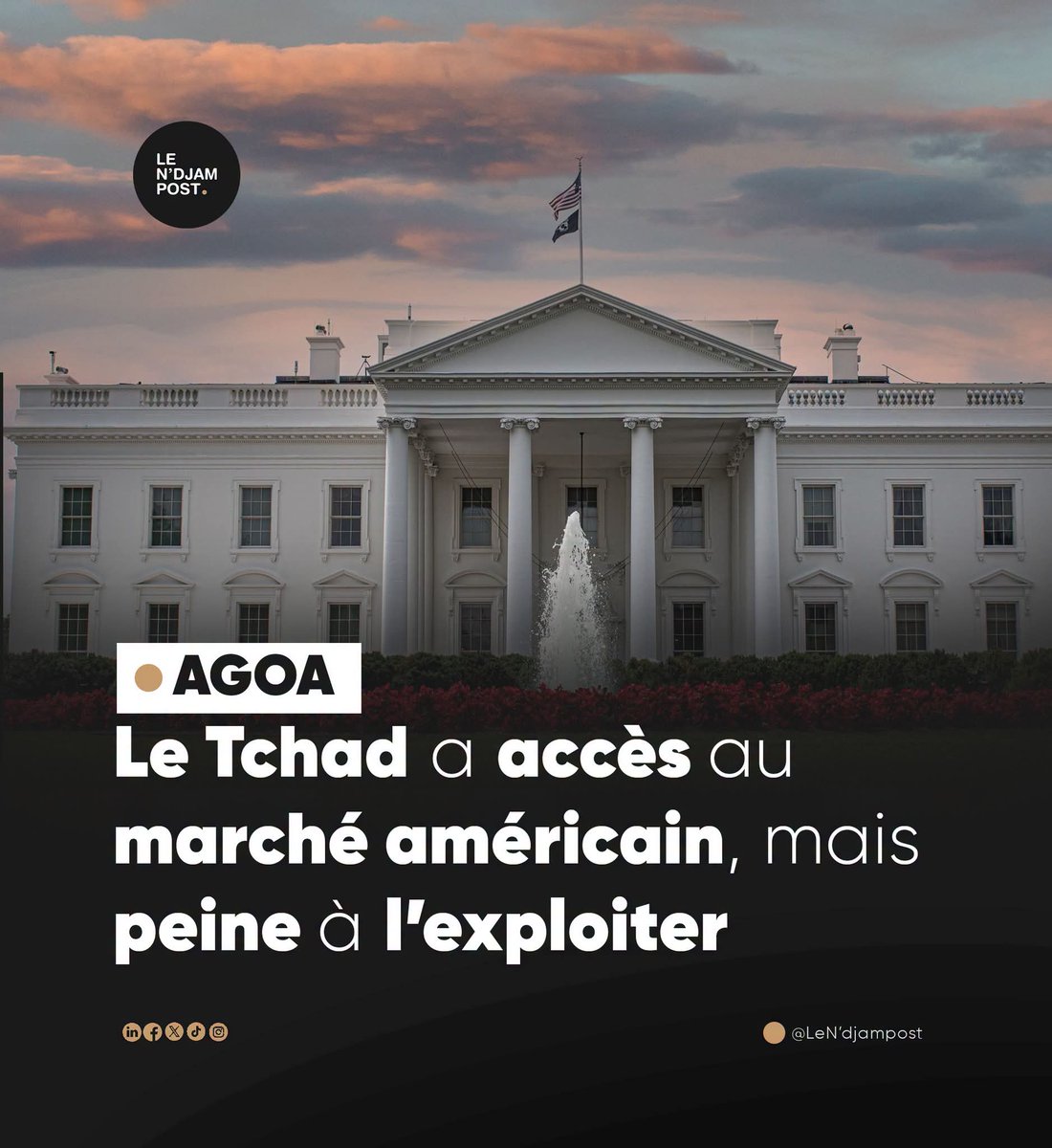 wlonj's tweet photo. Loin de la spiruline industrielle chinoise ou US, le dihé du #Tchad rivalise avec les souches sauvages du Mexique. Prix brut local : $2/kg (~1200 FCFA) ➡️ Prix transformé aux USA : +$150/kg (~90K FCFA). L'AGOA attend ce diamant brut ! 💎🇺🇸 #MadeInChad https://t.co/0YvsYji3nW