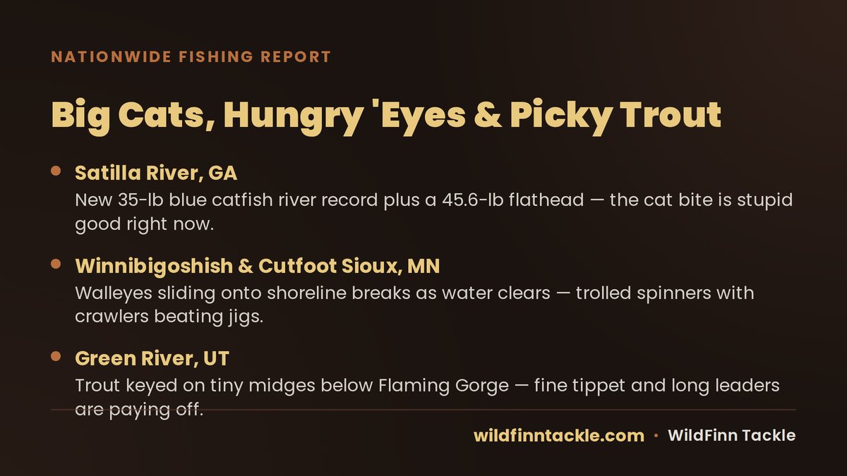 WildFinnTackle's tweet photo. Big week on the water: a new 35-lb blue catfish river record on Georgia's Satilla, walleyes stacking shoreline breaks on Minnesota's Winnibigoshish &amp; Cutfoot Sioux, and picky trout sipping midges on Utah's Green River. Where the Wild Meets the Water. https://t.co/XZp6u2E5Zs