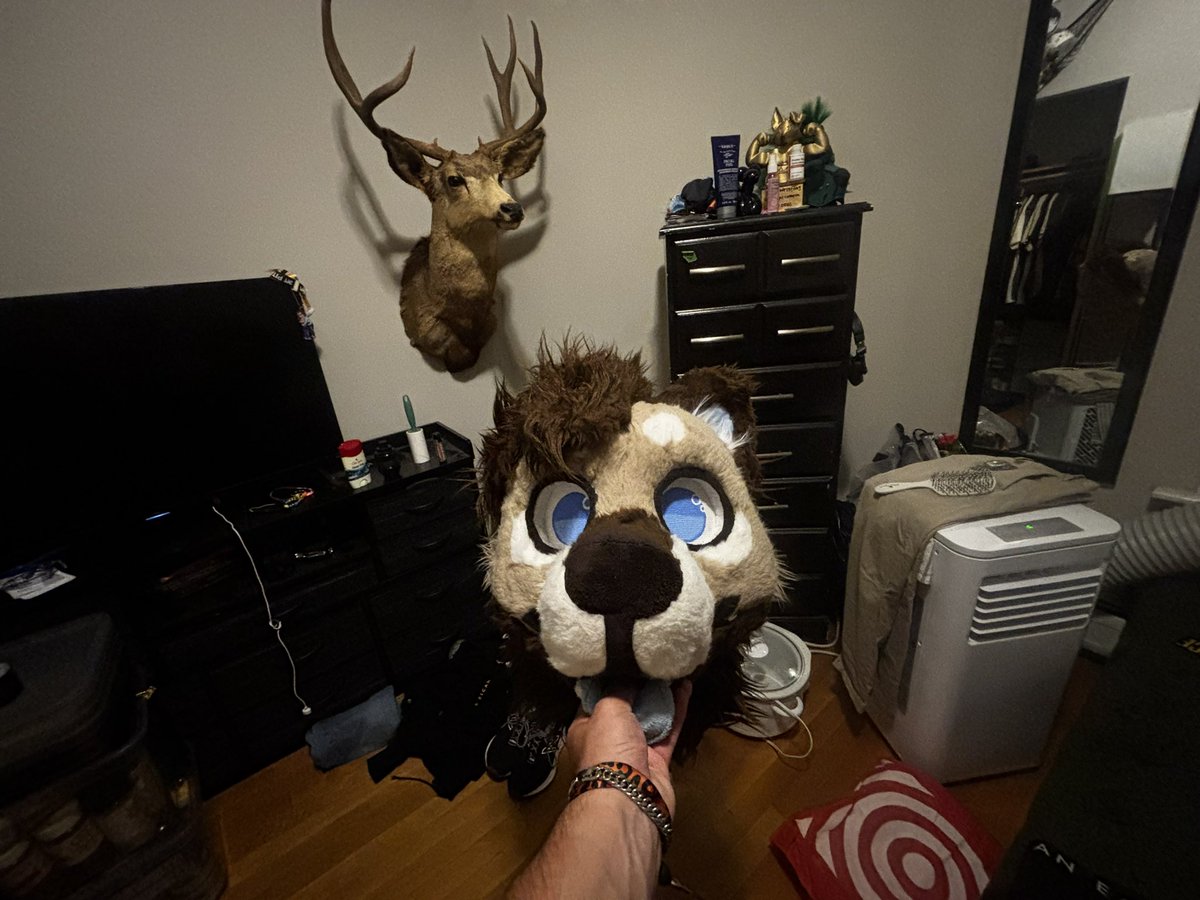 HyenaCera's tweet photo. Life updates from the chronically offline furry:
- Graduated early from undergrad with 2 degrees
- Got a job in my fields that I absolutely adore
- Taking the gym + health (moderately) seriously
- Upgraded apartments
- Looking into graduate programs

So yeah things pretty good https://t.co/PTg82U0W0T