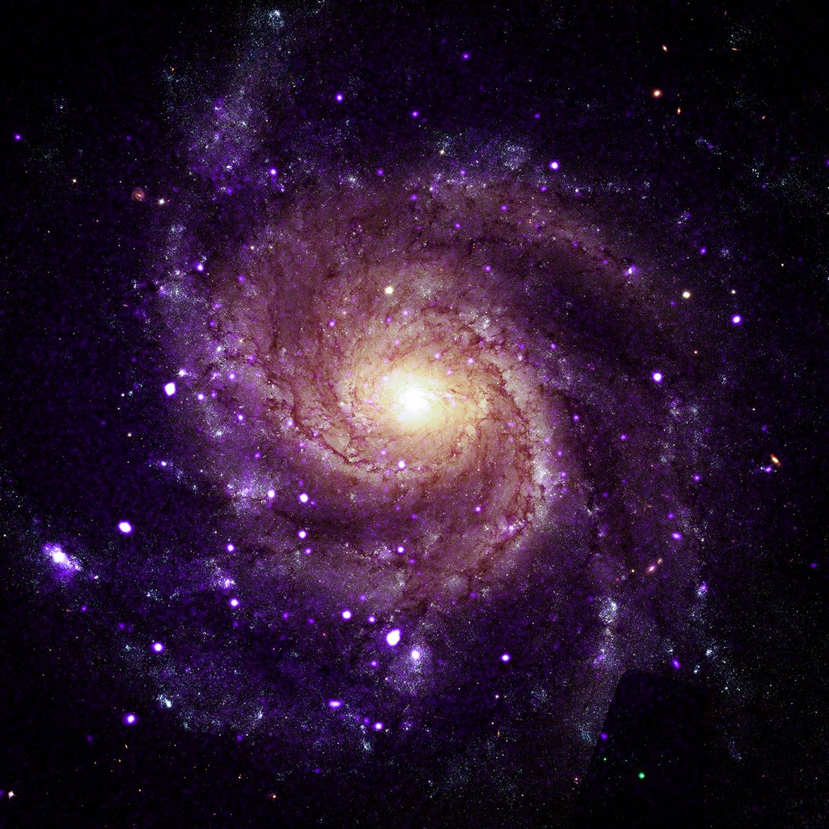 chandraxray's tweet photo. Scientists have discovered a new class of objects using NASA's Chandra X-ray Observatory that are behaving unlike any seen before. These mysterious objects may help solve not one, but two long-standing questions in astrophysics. More: https://t.co/MaQaxW85dy https://t.co/nQoQoQLDJ1