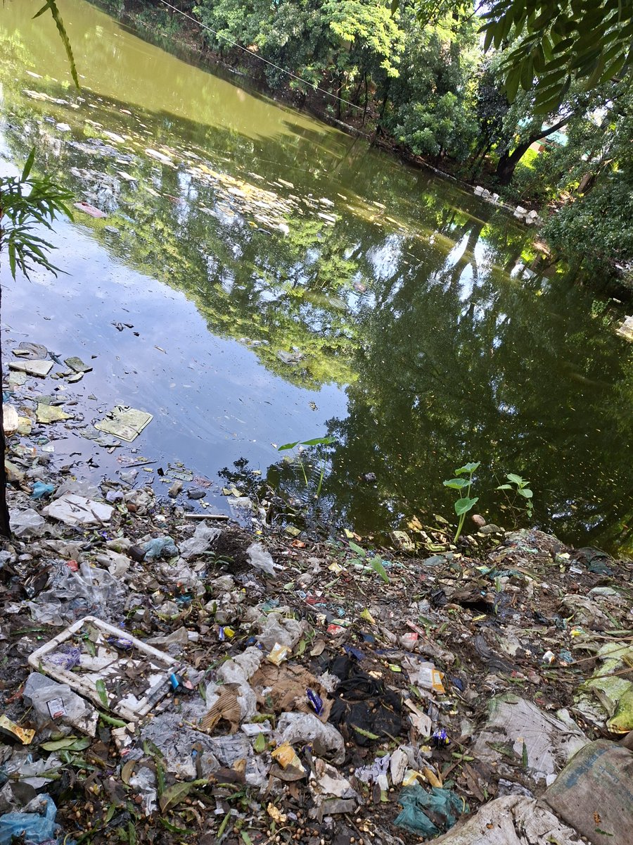 CliMate_HEAL's tweet photo. We must protect our environment from plastic pollution. 
Reduce single-use plastics, reuse what we can, recycle responsibly, and choose sustainable alternatives. 
 
#BeatPlasticPollution #PlasticFree #ProtectOurPlanet #ClimateAction https://t.co/yMi16IS6bC