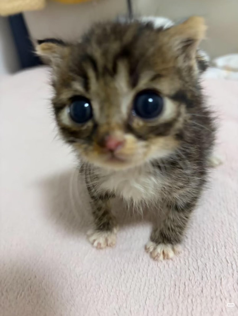 dai_sy5's tweet photo. 🥺 https://t.co/vkC1T2ldw7