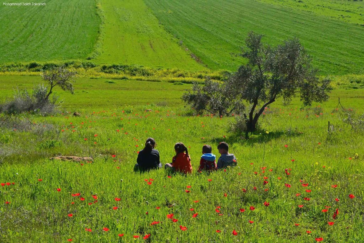 aseelswaid9's tweet photo. The amazing beauty of the countryside of Palestine https://t.co/KHOB1W0CiL