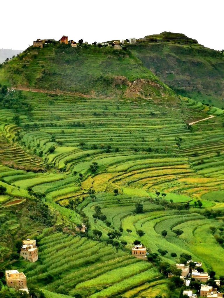 aseelswaid9's tweet photo. Yemeni countryside https://t.co/c4T5ZeJkYQ